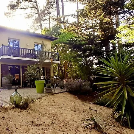 Mon Petit Coin Sous Les Pins