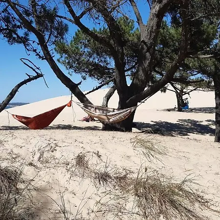 Mon Petit Coin Sous Les Pins בית נופש