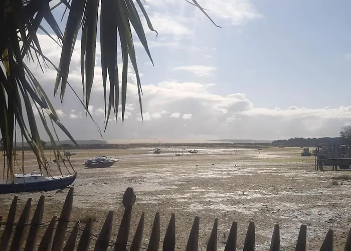 Mon Petit Coin Sous Les Pins