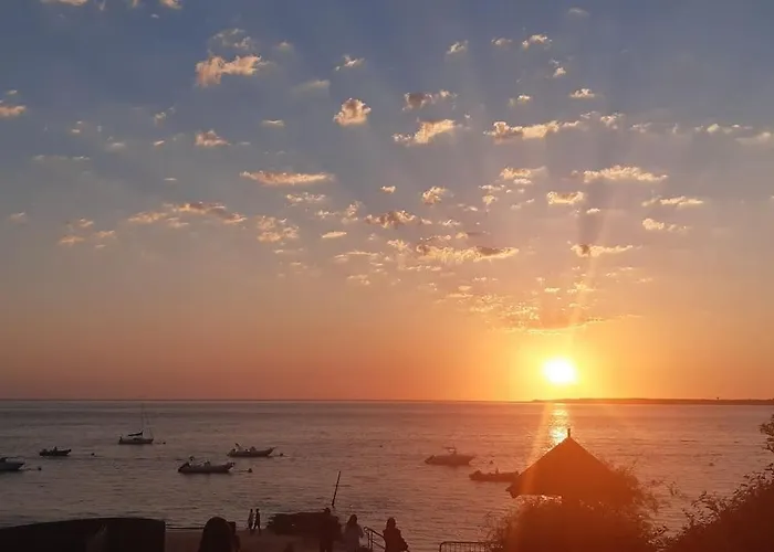 בית נופש Mon Petit Coin Sous Les Pins *