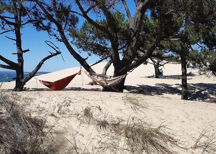 Mon Petit Coin Sous Les Pins בית נופש