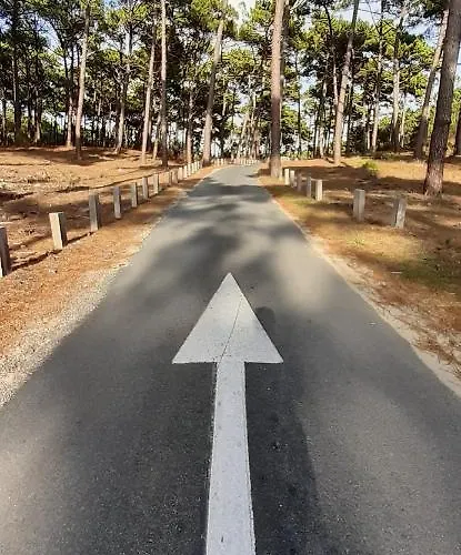 בית נופש Mon Petit Coin Sous Les Pins