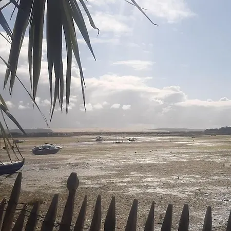 Mon Petit Coin Sous Les Pins