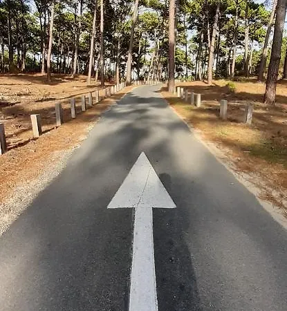 Hébergement de vacances Mon Petit Coin Sous Les Pins