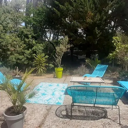 Mon Petit Coin Sous Les Pins Hébergement de vacances