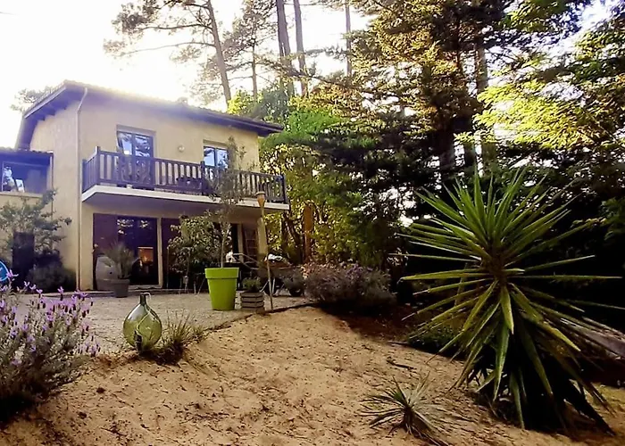 Mon Petit Coin Sous Les Pins